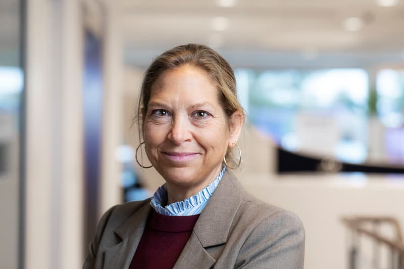 Henriette Hallberg Thygesen - BoD - 2025
