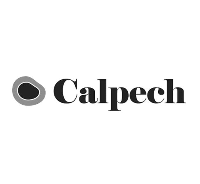 ES_Startups2025_Calpech_Tecnológica