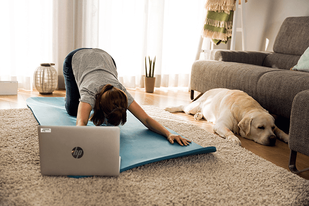 Doing exercise with my lazy dog