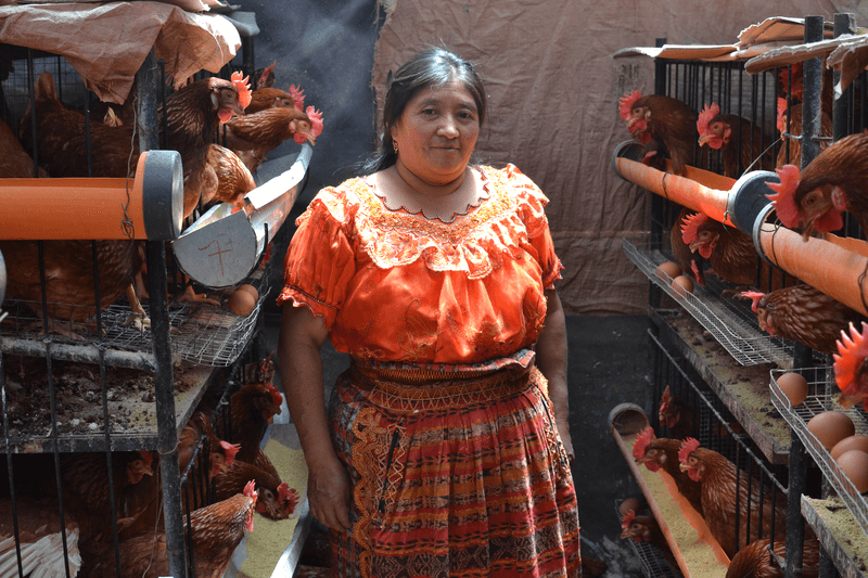 guatemala_proyectofundacion