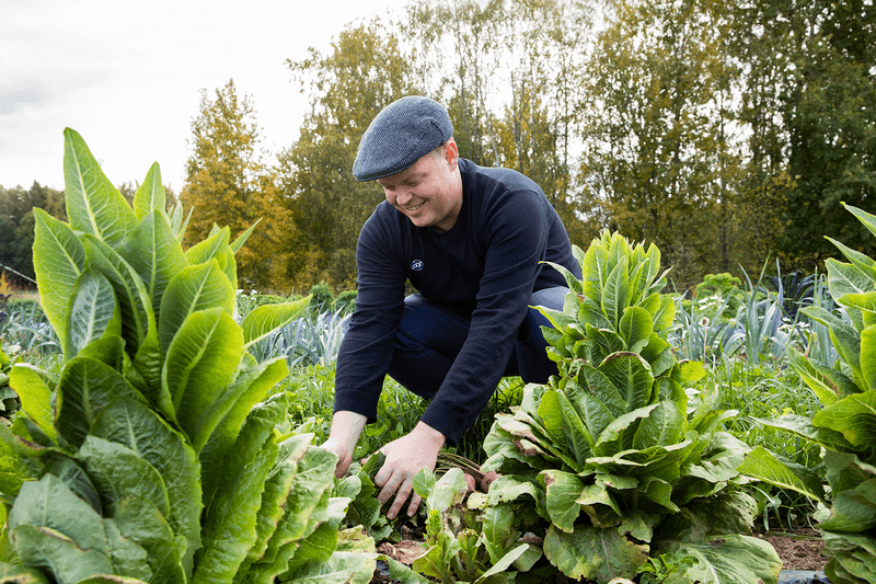 Chef in Field_Finland