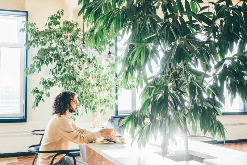 AdobeStock_397648145