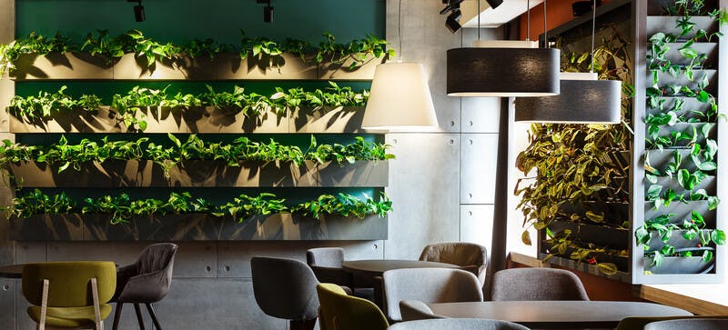 Floral interior in modern cafe
