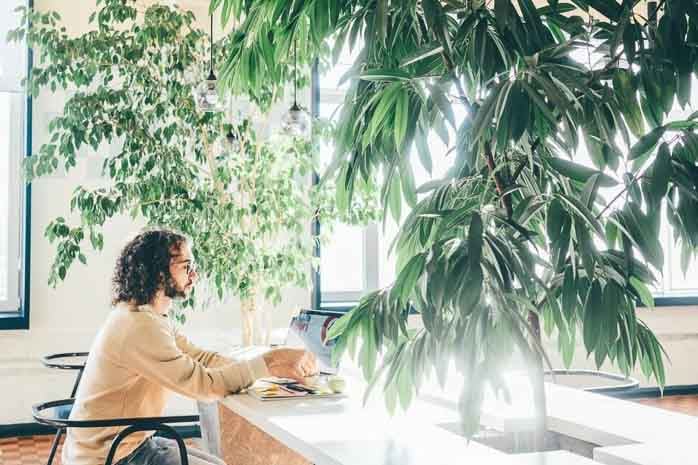 Web_Desktop-AdobeStock_397648145