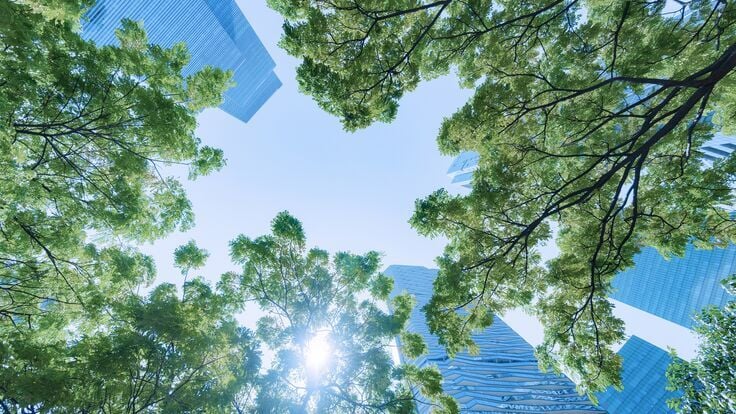 Web_Mobile-Net_Zero_Image